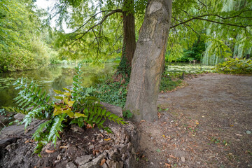 pond of the british botanical garden of Bratislava