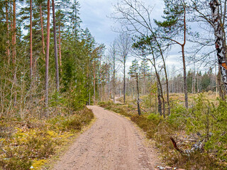 Fototapeta premium Schweden, Sweden, Landschaften, Landscapes, See, Lake, Wald, Forest, Bäume, Trees, Epic, Episch, Schnee, Snow, Straßen, Roads, Sunset, Sunrise, Sonnenuntergang, Sonnenaufgang, Winter, River, Fluss, 