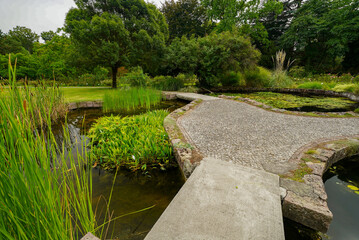 british botanical garden of Bratislava