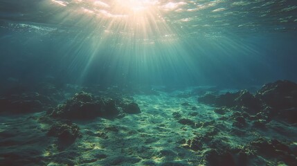 Naklejka premium The sun illuminates the sea bottom, revealing rocks and corals beneath clear waters