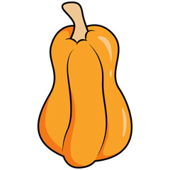 Delicata Squash Pumpkin