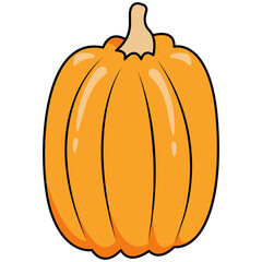 Pumpkin Squash