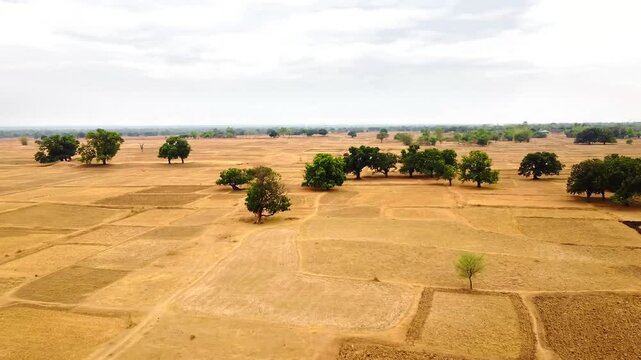 Aerial view of dry farm fields during summer in panni, madhya pradesh  India. View of agriculture field. Dry farms due to scarcity of water.