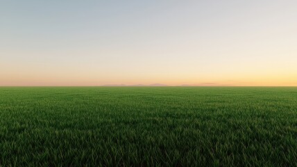 Obraz premium A serene landscape featuring a lush green field under a peaceful sky during sunrise, perfect for nature-themed projects.