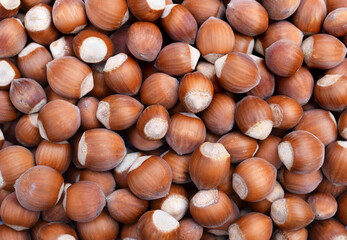 Hazelnuts in shell close up