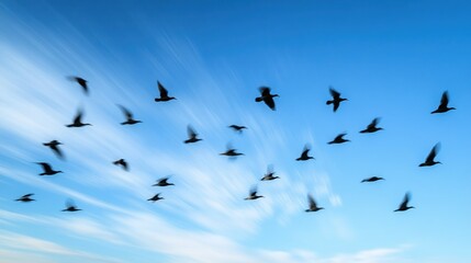 Fototapeta premium A Flock of Birds Soaring Through a Blue Sky with White Clouds