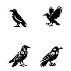 Crow icon, crow silhouette, white background, black crow, crow shape