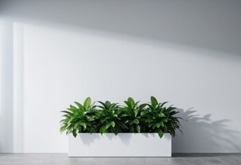 Fototapeta premium Plant on a white wall, light surface for mockup and text. ai