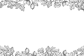 Vector banner with Gooseberry for text. Hand drawn engraved ink background of berry harvest, branches and fruits of sweet gooseberries. Design for label, logo, paper, sign, card