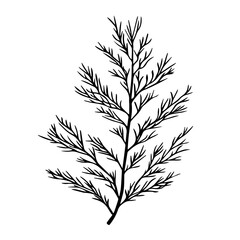 Leaf Vector