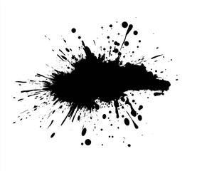 Fototapeta premium a ink splash on a white background.