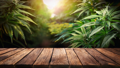 Cannabis Sativa Leaves On Wooden Table - Medical Legal Marijuana
