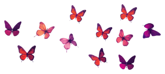 PNG Butterflies butterfly purple insect.