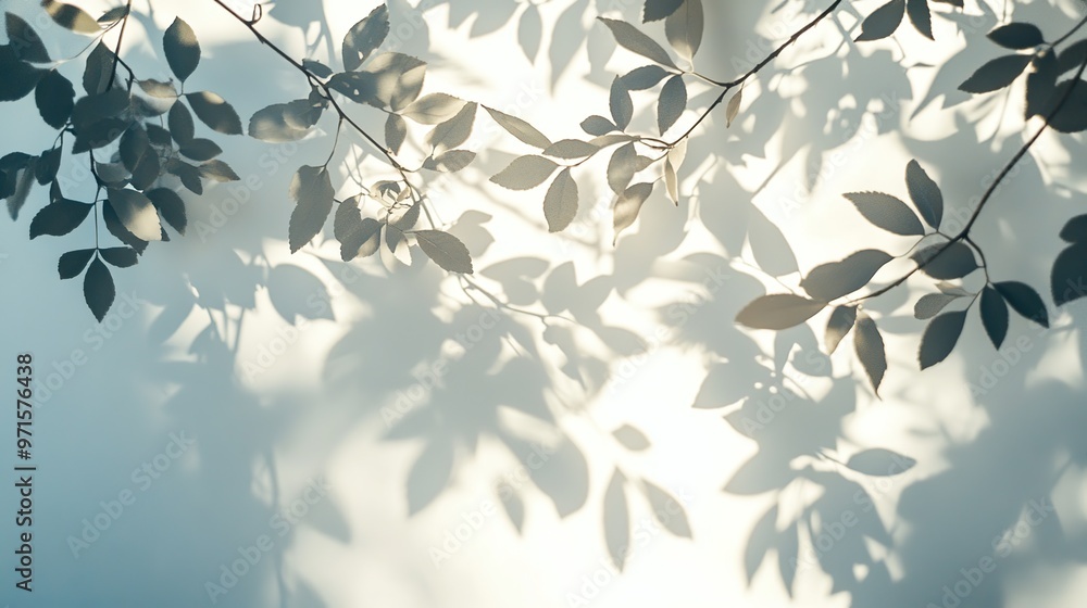 Poster white wall background with blurred shadow of tree trunk with leaves in daytime