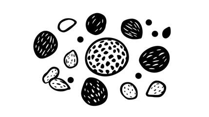 Truffle surrounded by a variety of nuts, showing different coating options, vector illustration art