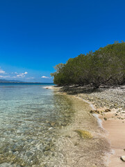 beach with trees - View of Isla Larga, Venezuela - White sand beach and crystal clear water with the green of nature