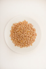 Pine nuts on a white plate. Hazelnuts.