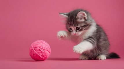 Playful kitten reaching for pink yarn ball on pink background