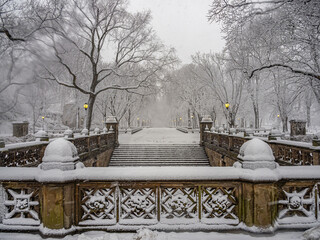 Central Park the Mall during snow storm
