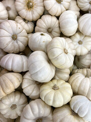 Pumpkins variety on display at a market