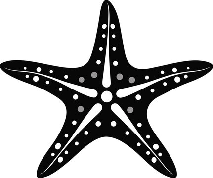 recommend clip art: starfish silhouette vector illustration .