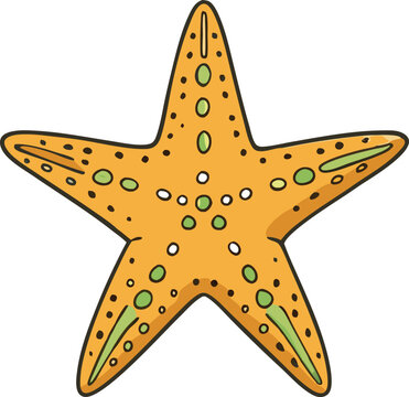 recommend clip art: starfish silhouette vector illustration .