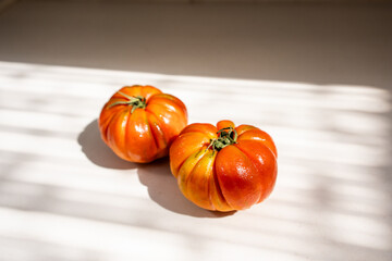 tomates frescos sobre fundo branco iluminados pelo sol