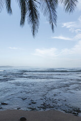 beautiful palm tree silhouette pretty ocean sea blue