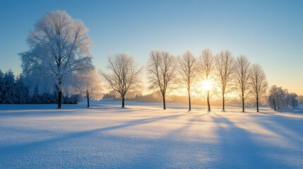 A serene winter landscape with frosted trees and a rising sun over a snowy field.