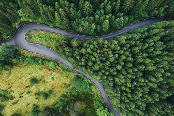 Green Pines trees aerial top drone shot with curved asphalt empty road. Traveling, transportation and beauty in Nature concept photo. Summer Norway, Europe.