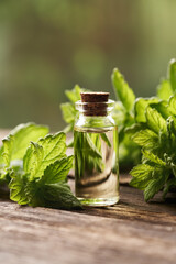 A bottle of aromatherapy essential oil with fresh melissa leaves outdoors
