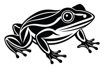 frog illustration on a white background
