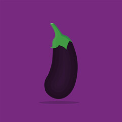 Eggplant Vegetable vector illustration graphic