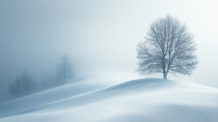 Obraz premium Solitary tree standing on snow covered hill in foggy winter landscape with soft rolling snowdrifts
