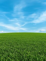 Obraz premium A vibrant green field under a clear blue sky, showcasing the beauty of nature and tranquility in an outdoor landscape.