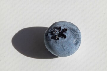 Macro shot of a fillet of Canadian blueberry fruit on a white background