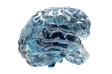 Sci Fi brain isolated on a clear transparent background for futuristic design