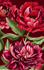 flower natural cute beautiful background red