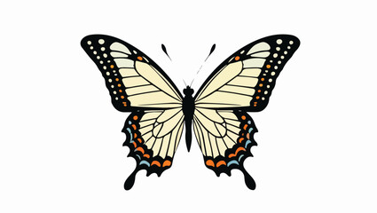 Obraz premium Vibrant Butterfly Design with Detailed Wings