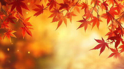 autumn leaves in the park 