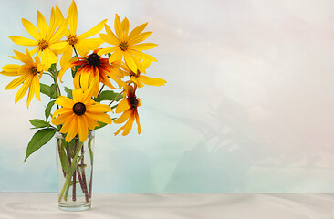 Autumn banner with beautiful flowers in vase on sunny background, seasonal still life with...