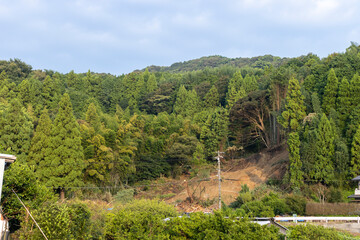 土砂崩れの風景、愛知県蒲郡市竹谷町大久古、日本