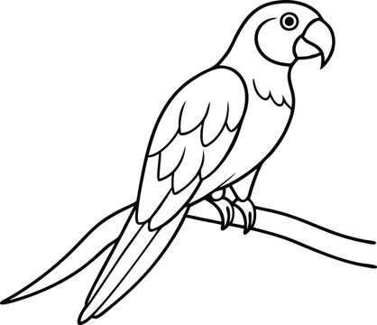 recommend clip art: Line Art Macaw on a Branch Vector Illustration for Kids Coloring Book
                    