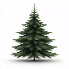 Fototapeta premium Green Christmas tree is on a white background clipart