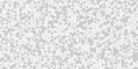 Abstract Vector geometric seamless gray and white cube square low polygon background. abstract surface creative diamond pattern gray Polygon Mosaic triangle texture background.