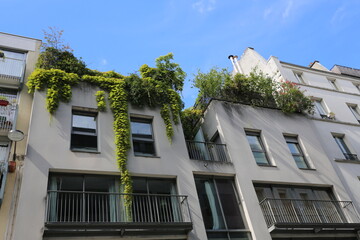Terrasse arborée au dernier étage d'un immeuble à Paris