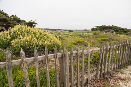 Old wooden fence on the beach