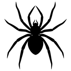 silhouette of a spider walking in left side on a white background without any web Silhouette vector art illustration