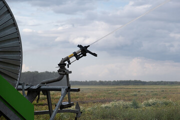 An automatic sprinkler system irrigates a potato field in the summer, aiding agricultural watering.