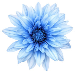 PNG Elegant blue dahlia flower